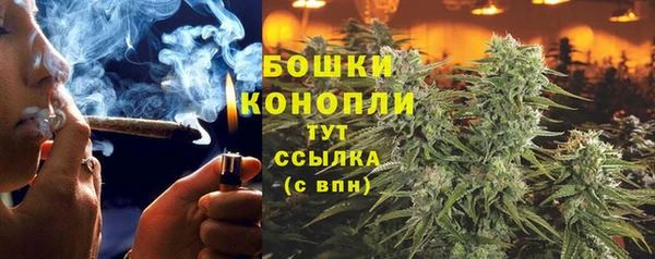 стафф Богородск