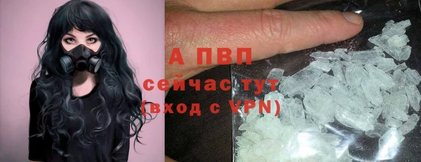 СК Бронницы